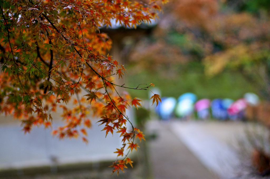 円覚寺_e0131966_1464121.jpg