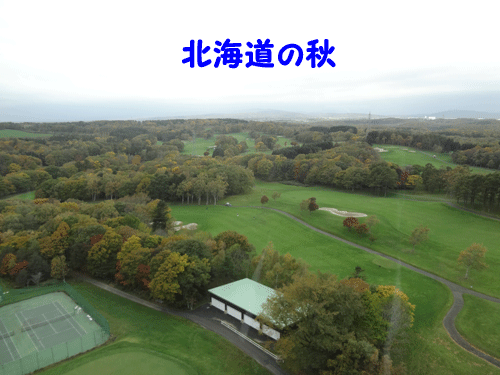南幌_c0000970_7583490.gif