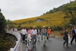 地域に根ざす健康づくり 「健康ウォーキング」 ~三津口編~_e0175370_1234063.jpg