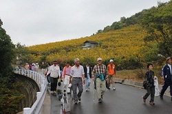 地域に根ざす健康づくり　「健康ウォーキング」　～三津口編～_e0175370_1234063.jpg