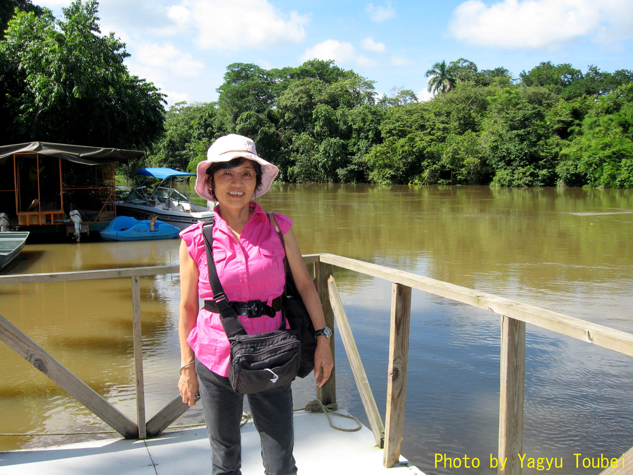 ジャングルの川 とことん写真