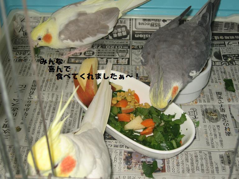 e0027078_8532832.jpg