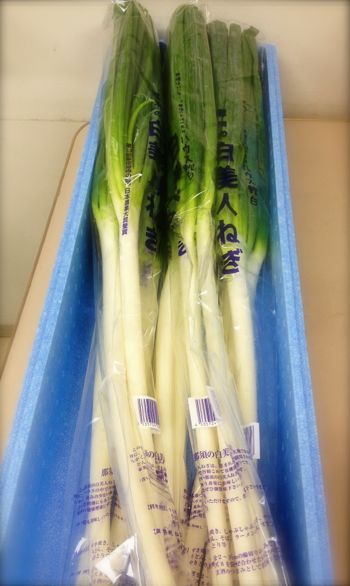白美人ねぎ の料理教室 売れるメニューはストーリーがある フードコンサルタント業と映えない日常記録 白美人ねぎ の料理教室 売れるメニューはストーリーがある フードコンサルタント業と映えない日常記録