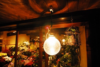 るりは_f0198684_21125190.jpg