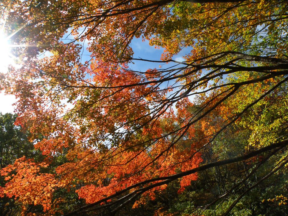 2012/10/27（土）　氷ノ山＃２　紅葉の素晴らしかった氷ノ山越え→福定親水公園　快晴　２名_c0134193_213723.jpg