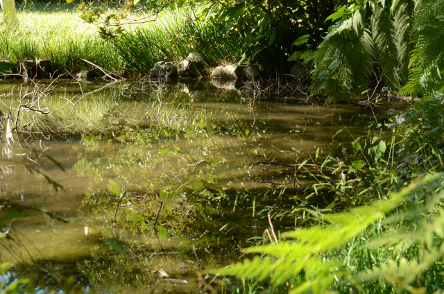 d0237095_11355010.jpg