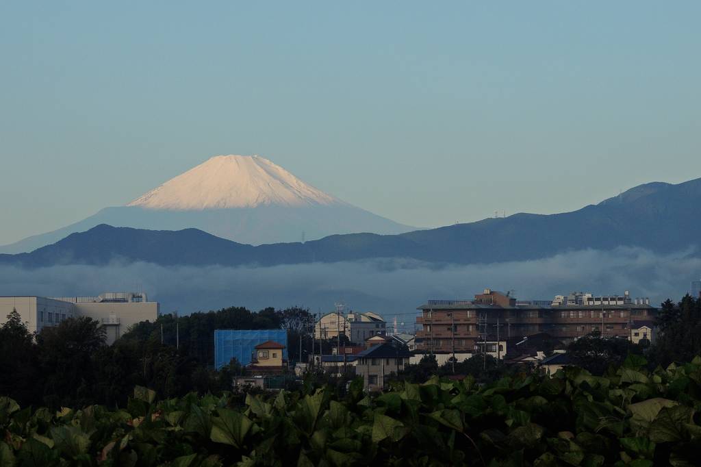 b0024798_14133538.jpg