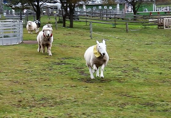 c0155902_20164572.jpg