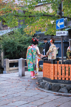 秋の京都〜祇園「白梅」_b0208604_14315724.jpg