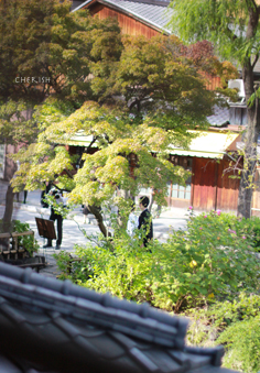 秋の京都〜祇園「白梅」_b0208604_14322339.jpg