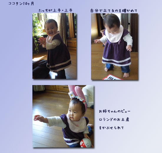 秋の花 孫達のハロウィーン_c0051105_11461830.jpg