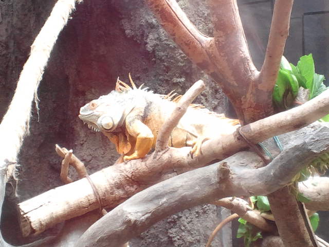 d0224111_18544973.jpg