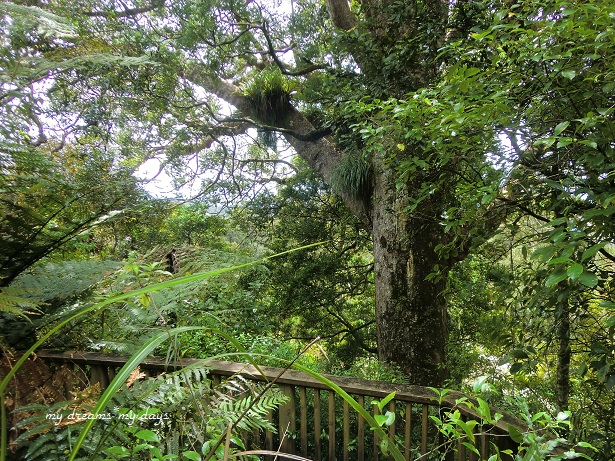 d0181213_7264750.jpg