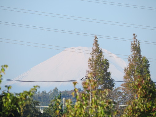 b0087914_22204033.jpg