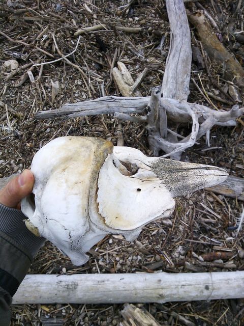 d0014014_140552.jpg