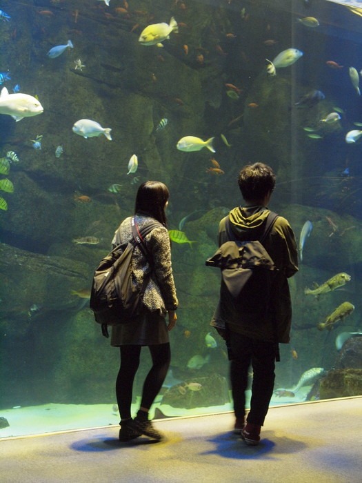 「ENJOYフォトレッスン 宮島水族館を撮ろう」【中級者向け】_c0116915_1224417.jpg