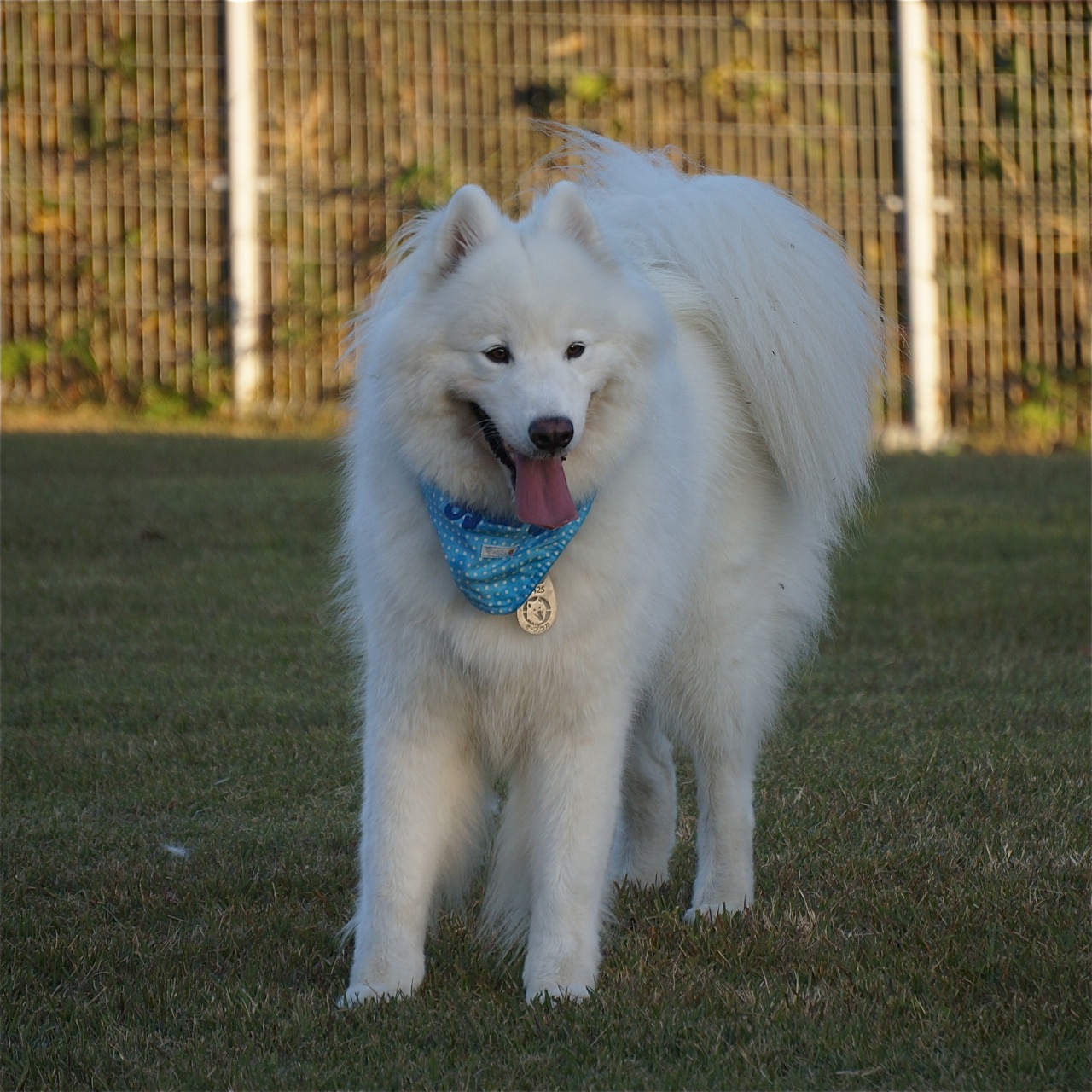 f0234023_22485140.jpg