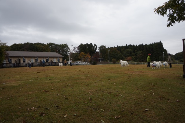 f0234023_7104928.jpg
