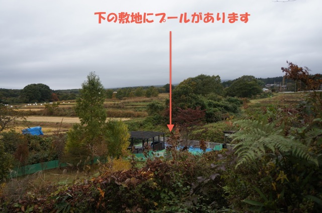 f0234023_714825.jpg