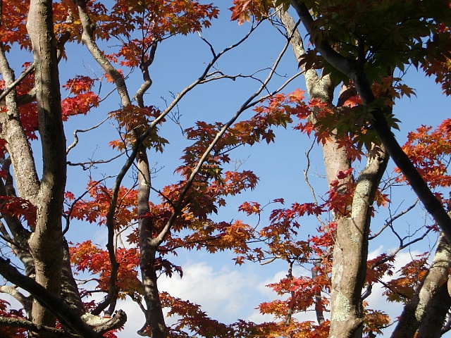 e0234924_7504525.jpg