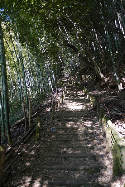 相模湖から高尾山に登る　その５_c0196928_18105043.jpg