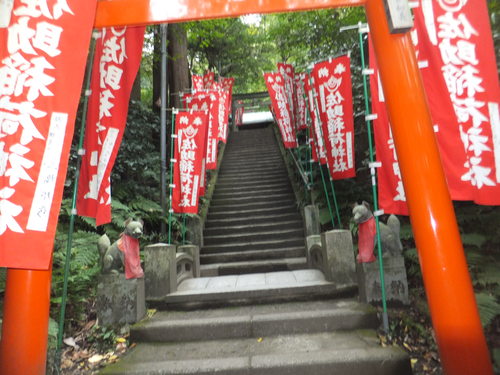 鎌倉散策...ランチは三崎マグロ!_b0137932_19333858.jpg