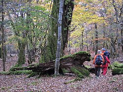 e0200734_16584311.jpg