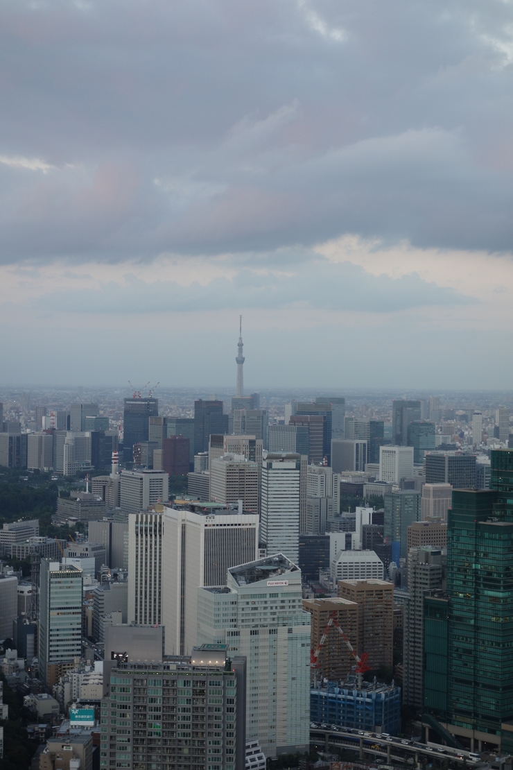 a0287336_135527.jpg
