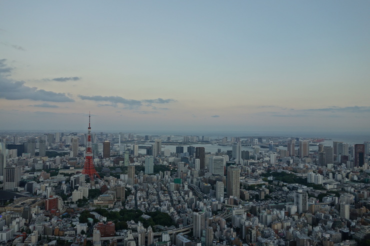 a0287336_13554166.jpg