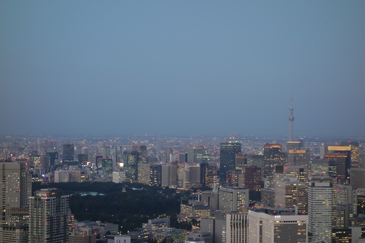 a0287336_13594189.jpg