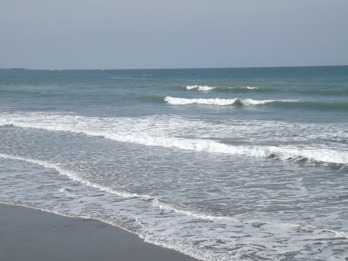 e0252838_11363519.jpg