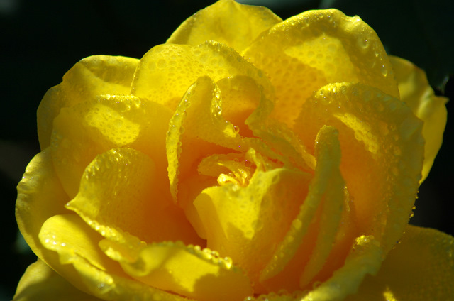 d0186245_0295732.jpg