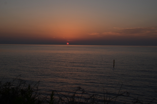 d0002247_1231156.jpg