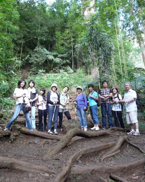 MANOA FALLS TRAIL_a0132260_1671022.jpg