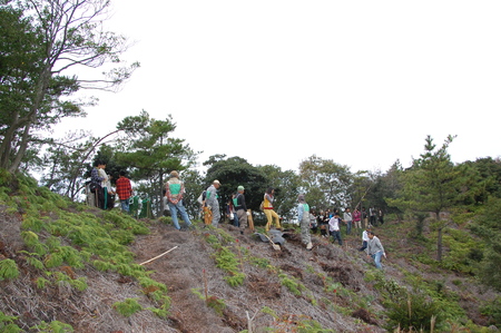 岬高校「山海人プロジェクト２０１２」（第１学年）「孝子の森で植樹しよう！」_c0108460_21152280.jpg