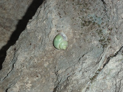 c0180460_04313.jpg