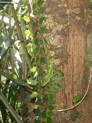 c0180460_06654.jpg