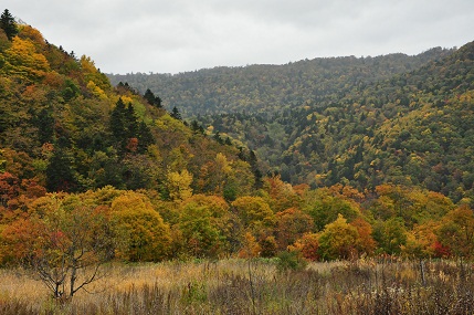 f0221369_0294095.jpg
