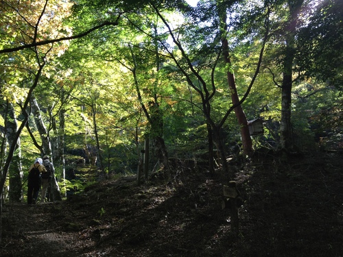 b0224470_21362015.jpg