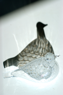 iittala Birds by Toikka -Mediator Dove : buckの気ままなblog。 iittala Birds by Toikka -Mediator Dove : buckの気ままなblog。
