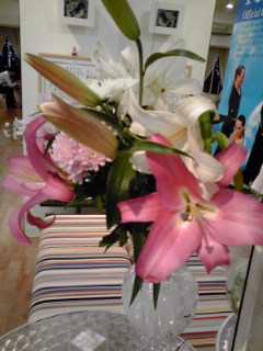 f0200871_0315230.jpg