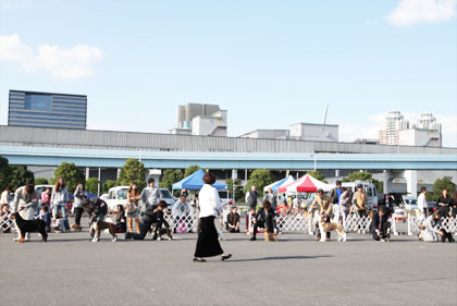 ♪ ユアン 東京北ビッグフレンドドッグクラブ展 Ⅱ ♪_c0161772_22103676.jpg