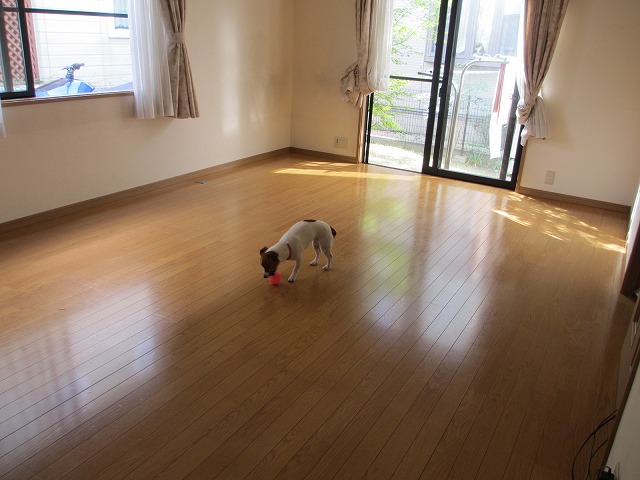 e0106372_14152968.jpg