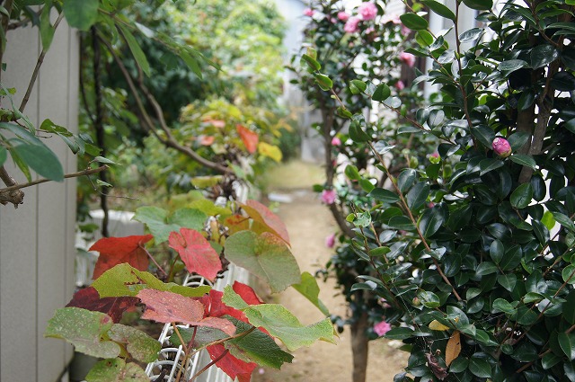 e0181373_21155577.jpg