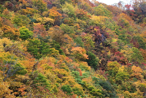 d0054076_942121.jpg