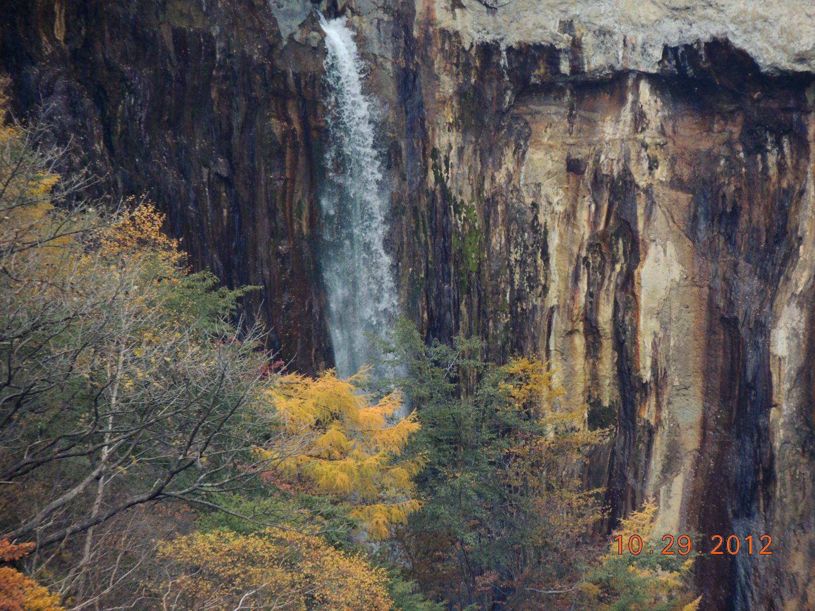 No.0927 　白根山から草津へ10kmの下り_f0104277_18453033.jpg