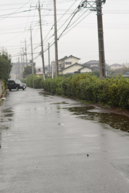 雨の中を歩く_b0194880_10433336.jpg