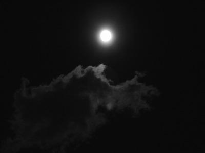 b0134285_1265653.jpg