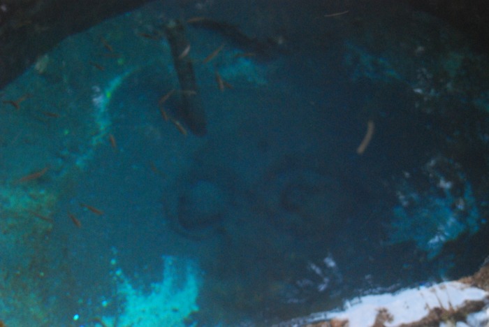 d0168292_17462781.jpg