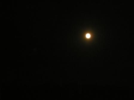 c0018195_2223059.jpg